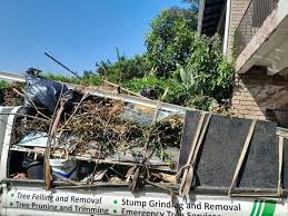 Professional Junk Removal Services in Pampa, TX